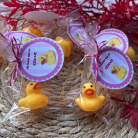 Je bent me er eendje