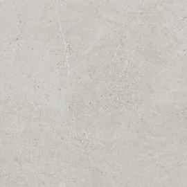 GeoCeramica 60x60 Colorado Light Grey