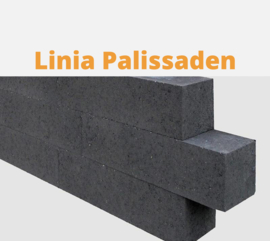 Linia Palissaden