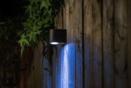 Garden Lights Gilvus Plus + smart