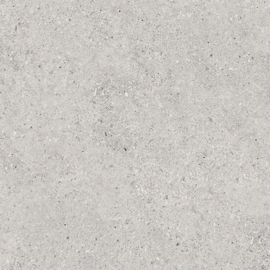 GeoCeramica 60x60 Granito Light Grey