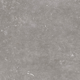 GeoCeramica 60x60 Norwegian Stone Grey tegel