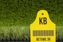 Kunstgras Betuwe 36