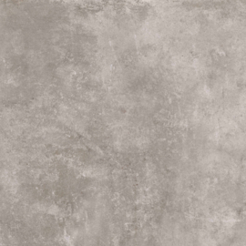 GeoCeramica Entrée 60x60 Ambiente Greige