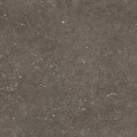 GeoCeramica 60x60 Norwegian Stone Dark tegel