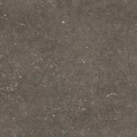 GeoCeramica 60x60 Norwegian Stone Dark tegel