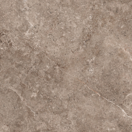 GeoCeramica maxxima 100x100 Landstone Earth