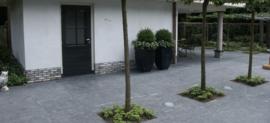 Natuursteen Spotted Bluestone Anticato 80x80x3