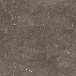 GeoCeramica 60x60 Norwegian Stone Dark tegel