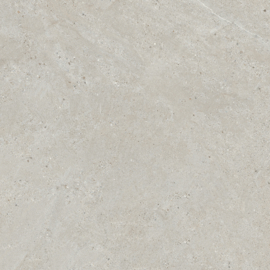 GeoCeramica 60x60 Colorado Light Grey