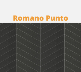 Romano Punto Visgraat bestrating