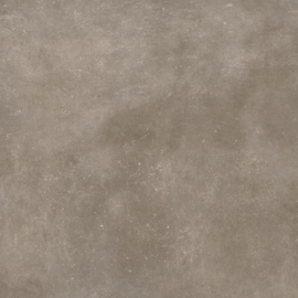 VT Wonen Solostone Uni Mold Taupe 70x70