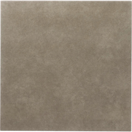 Passiona Taupe 60x60x3,2