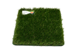 Grass Carpet 33