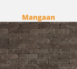 Tambour Mangaan