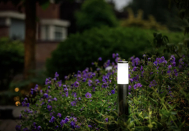 Garden Lights Silia