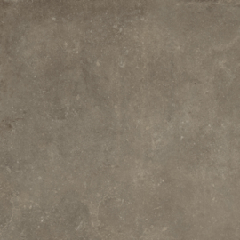 Ceramaxx Frescato Taupe 60x60x3