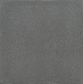 Furora Premium 60x60 zilver vlak