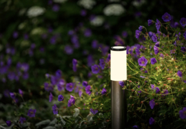 Garden Lights Lunia