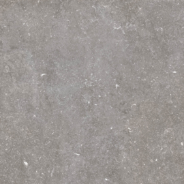 GeoCeramica 60x60 Norwegian Stone Grey tegel