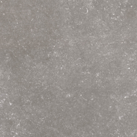 GeoCeramica 60x60 Norwegian Stone Grey tegel