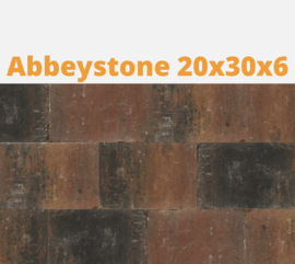 Abbeystones 20x30x6 cm