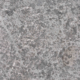 Natuursteen Spotted Bluestone Riven 60x60x3