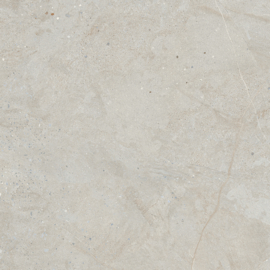 GeoCeramica 60x60 Colorado Light Grey