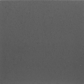 TerrasTegel + 60x60x4 dark grey