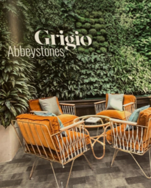 Abbeystones Getrommeld Grigio 20x30x6