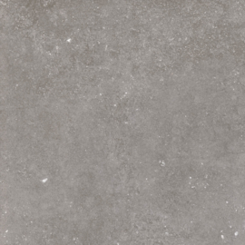 GeoCeramica 60x60 Norwegian Stone Grey tegel