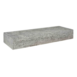 Natuursteen Bloktrede Spotted Bluestone Riven 100x35x15 cm