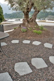 Staptegel Flex Stones Grigioni 2 cm Keramisch