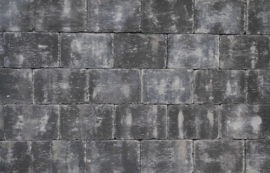 Abbeystones Getrommeld Nero 20x30x6