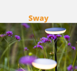 In-Lite Sway