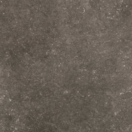 GeoCeramica 80x80 Norwegian Stone Dark tegel