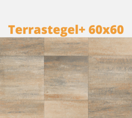 Terrastegel+ 60x60