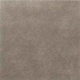 Passiona Taupe 60x60x3,2