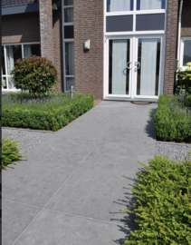 Natuursteen Spotted Bluestone Gezoet 60x60x3