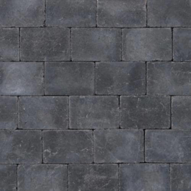 Abbeystones Getrommeld Nero 20x30x6