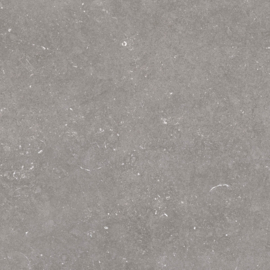 GeoCeramica 60x60 Norwegian Stone Grey tegel