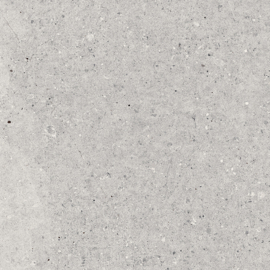 GeoCeramica 60x60 Granito Light Grey