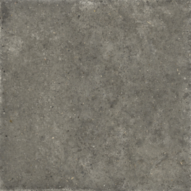 GeoCeramica 60x60 Brainport Tahiti