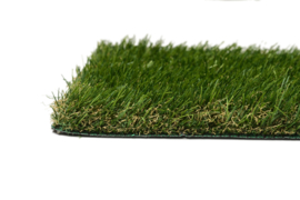 Grass Volley 35