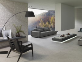 GeoCeramica 60x60 Granito Light Grey