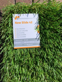 Grass New Slide 42