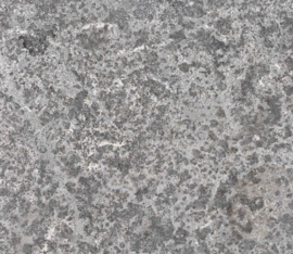 Natuursteen Spotted Bluestone Riven 80x80x3