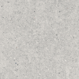 GeoCeramica 60x60 Granito Light Grey