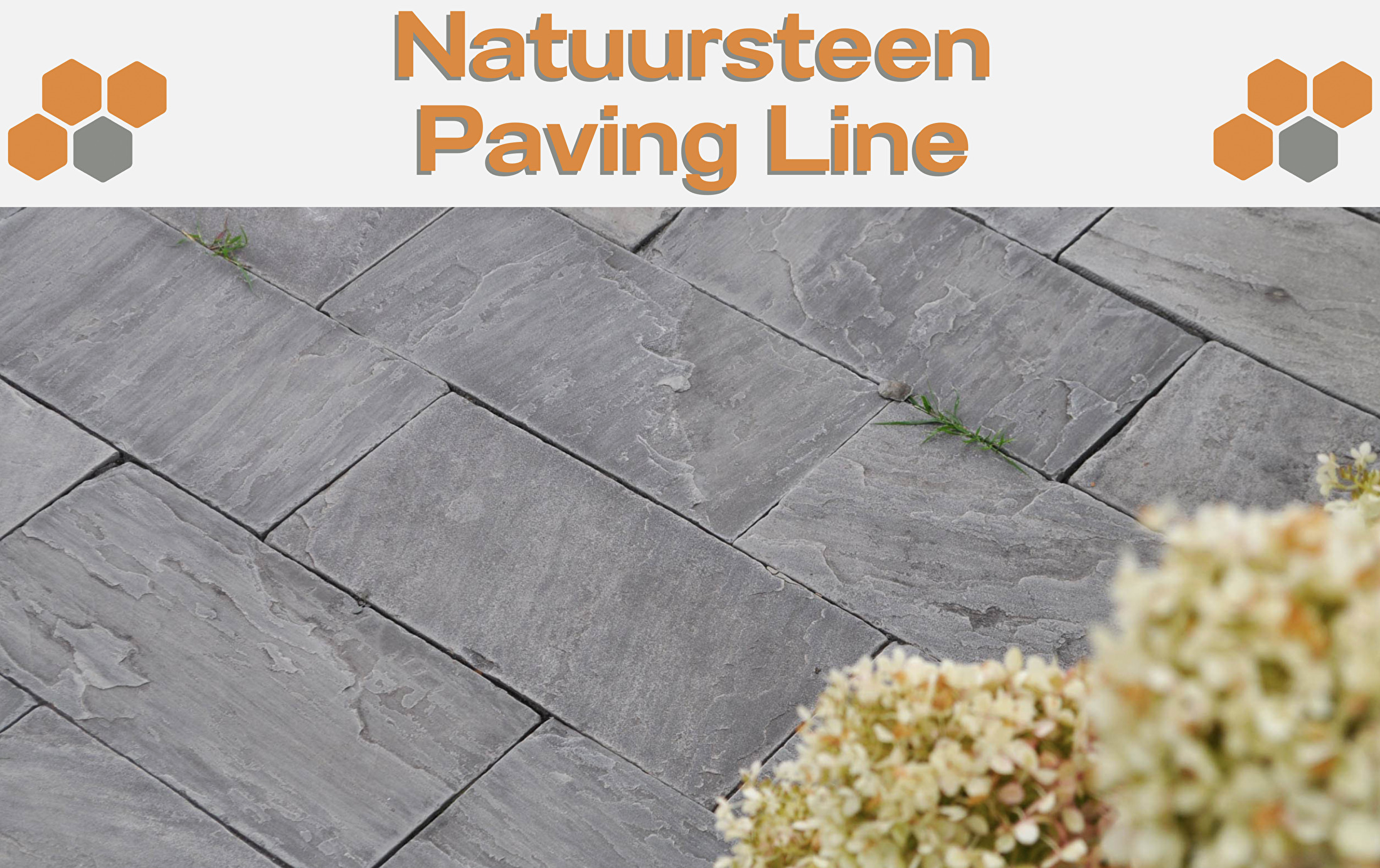 Natuursteen Paving Line