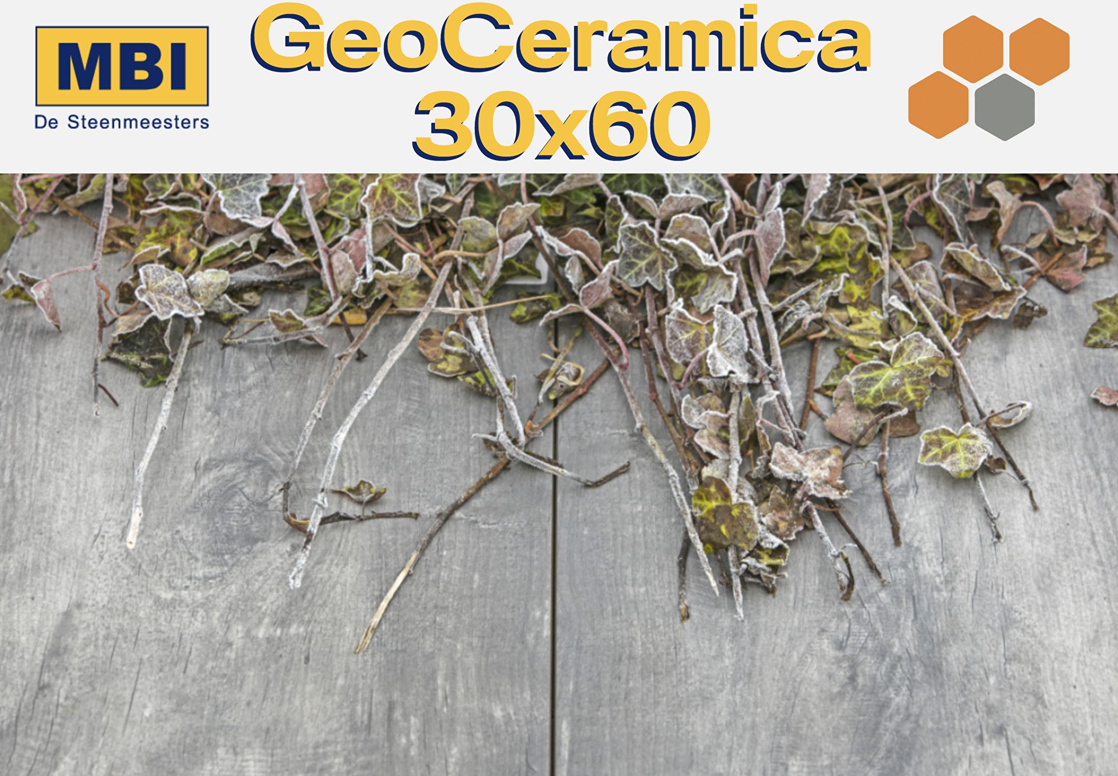 GeoCeramica 30x60